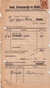 10035 - Kartoffelk&auml;ferbek&auml;mpfung