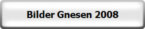 Bilder Gnesen 2008